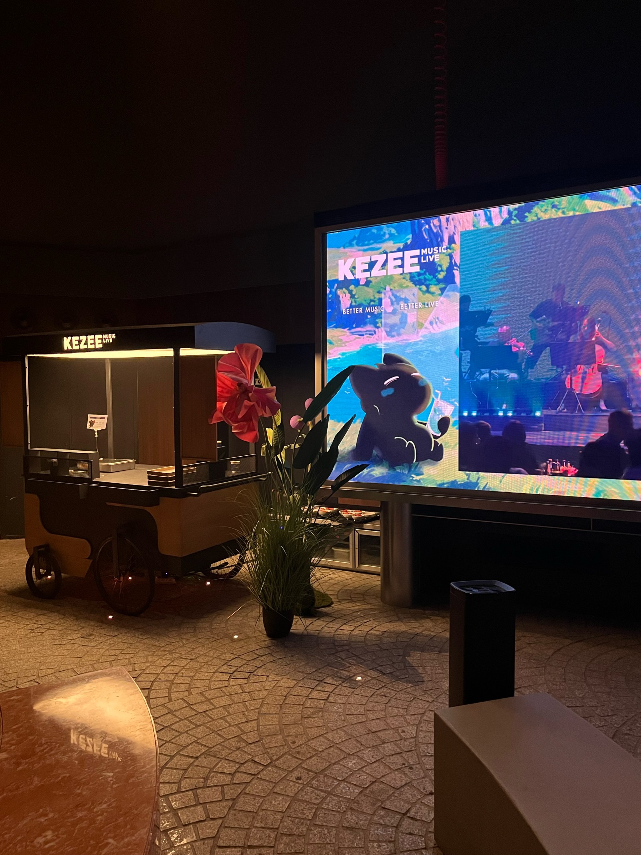 雅安商务ktv商务ktv预订享尊贵体验-荥经县ktv预订